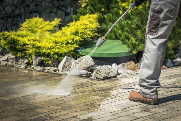 Best Vinyl Siding Pressure Washing in Aliso Viejo, CA